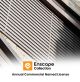 Enscape Collection - Annual Commercial Named License