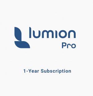 Lumion Pro 23 commercial annual termed license